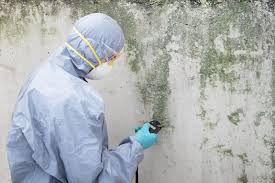 Best Forensic Mold Investigation in Monroe, UT